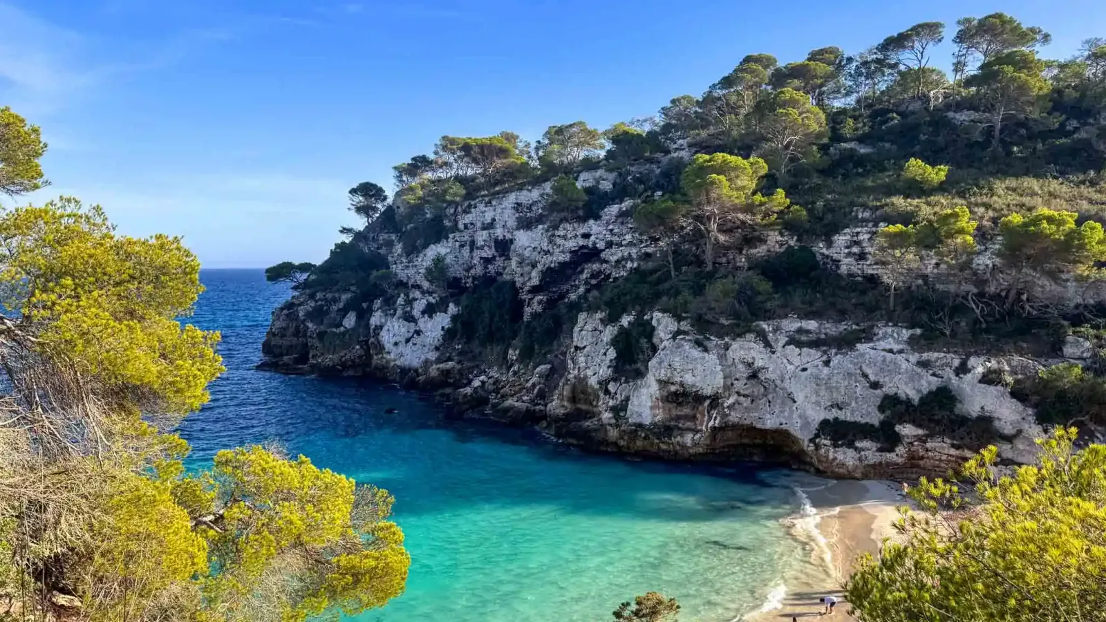 Cala Macarelleta auf Menorca: türkisblaues Wasser und Klippen mit Pinien